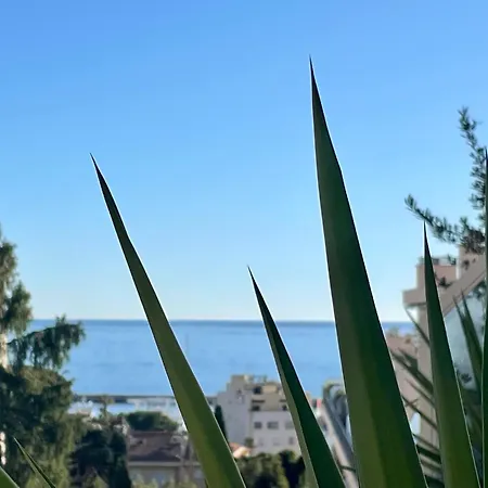 Διαμέρισμα Luxury Floor With Terrace - Sur *