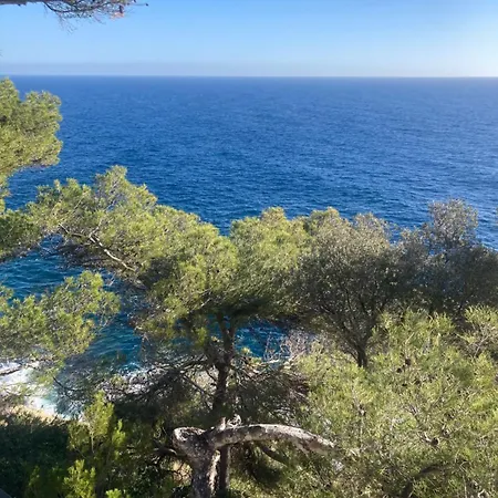 Luxury Floor With Terrace - Sur * Beaulieu-sur-Mer